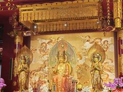-新加坡佛牙寺龙华院