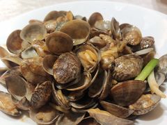 姜葱炒花蛤-高佳庄·舟山海鲜(海景旗舰店)