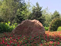 -长白岛森林公园