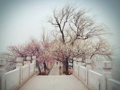-颐和园