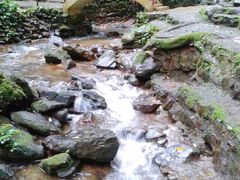 -莫里热带雨林景区