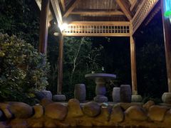 -深业半汤御泉庄温泉