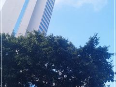 -天悦酒店-西餐厅