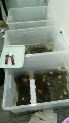 -邵老师打金·黄金加工(大望路总店)