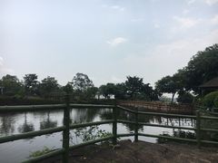 -广州莲花山旅游区