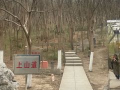 -南翠屏公园
