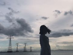 -宝安西湾红树林湿地公园