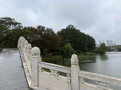 -月湖风景区