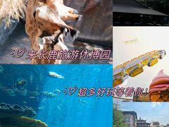 -长鹿旅游休博园