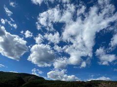 -金塔傣乡·云南民族特色菜·傣味手抓饭(金瓦路店)