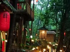 -天门沟九州驿站树上汤泉
