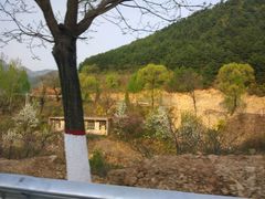 -山西通天峡景区