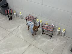 -爱脊康新中式推拿(江汉路步行街店)
