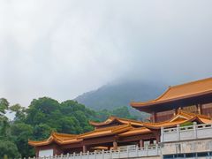 -深圳仙湖植物园