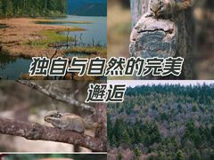 -普达措国家公园