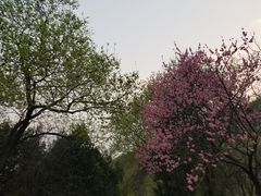 -北京十三陵国家森林公园蟒山景区