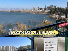 -野菌皇海景野生菌火锅(滨海大道店)