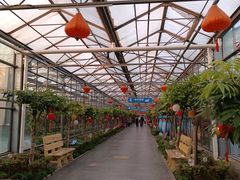 -南宫五洲植物乐园