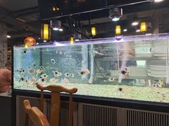 -常赢三兄弟·清真涮肉·清真炒菜(朝阳新城店)