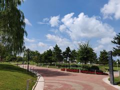 -莫子山公园