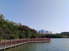 -五缘湾湿地公园