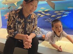 -上海昆虫博物馆