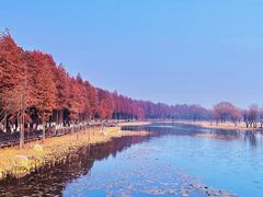 -苏州太湖国家湿地公园