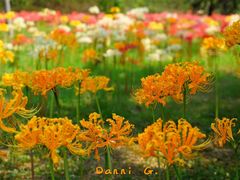 -白塘生态植物园