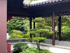 -十八棵（老龙井）御茶园(老龙井店)