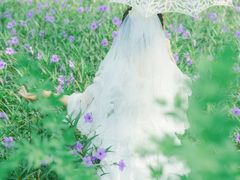 -白塘生态植物园