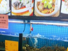 -醉壹号海鲜大排档(厦门美食地标店)