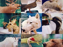 -中国湿地博物馆