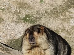 -云南野生动物园