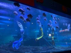 -石林冰雪海洋世界