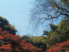 -岳麓山风景名胜区