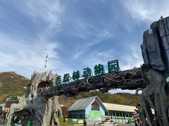 -大连森林动物园