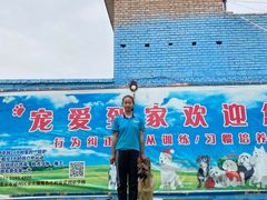 -宠物寄养训练学校