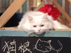 -小时光咖啡馆(开森度假森林店)