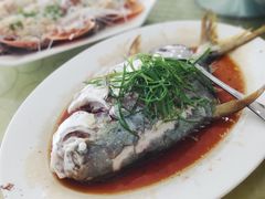 清蒸海鱼-双月饭店·20年老字号(新村店)