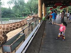 -石家庄市动物园