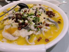 -陶然饺子城(奥体中路店)