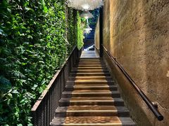 -穿越·外婆家(西溪天堂店)