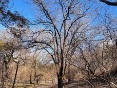 -元大都城垣遗址公园