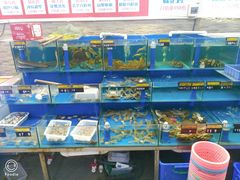 水产区-张家卫·阳江菜·小海鲜(肥婆湾桥店)