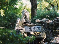 -上海醉白池公园