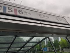 -大龙山(地铁站)