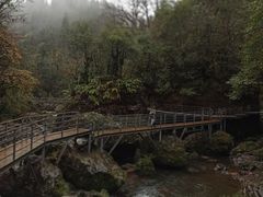-龙苍沟森林公园
