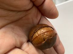 -源宗盛粽子汤圆