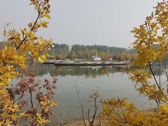 -东郊湿地公园