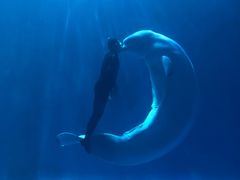 -多彩贵州城极地海洋世界